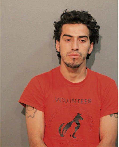 RUBEN LOMELI, Cook County, Illinois