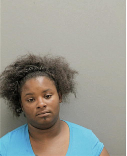 DENISE K LOTT, Cook County, Illinois