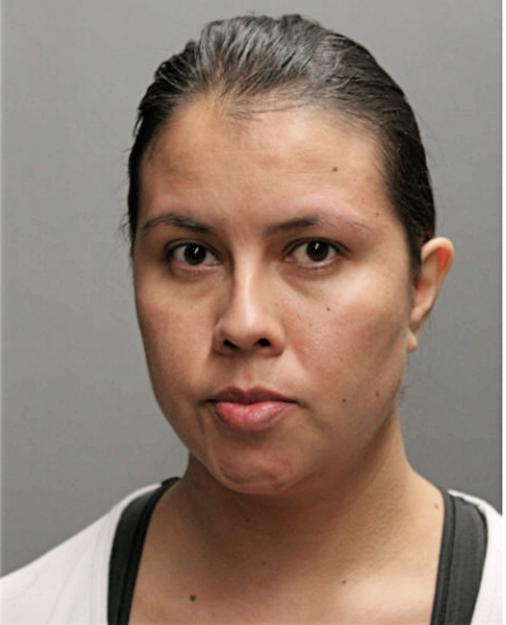 PATRICIA Y MAYA-RUEDA, Cook County, Illinois