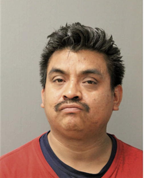 TOMAS MOTA, Cook County, Illinois