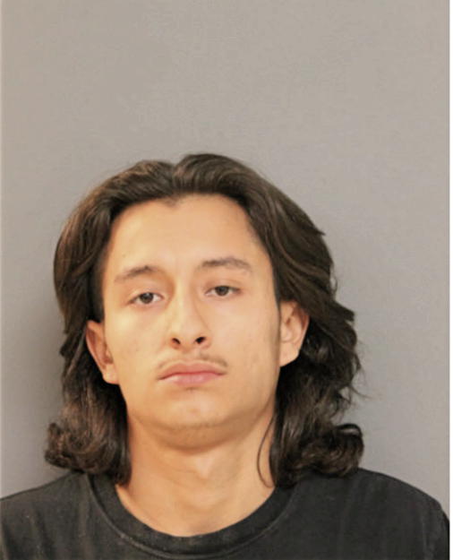 RAUL PALOMAR, Cook County, Illinois
