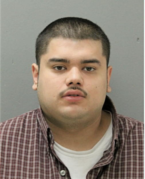 JOSE L RAMIREZ, Cook County, Illinois