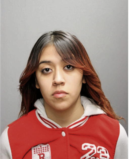 YESENIA R RAYO, Cook County, Illinois