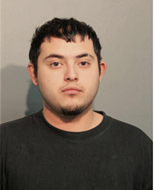 ENRIQUE SANCHEZ, Cook County, Illinois
