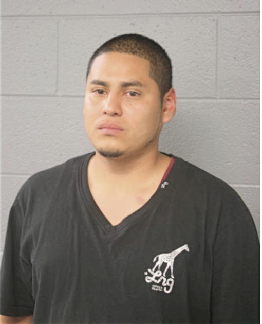 PABLO ZAVALA, Cook County, Illinois