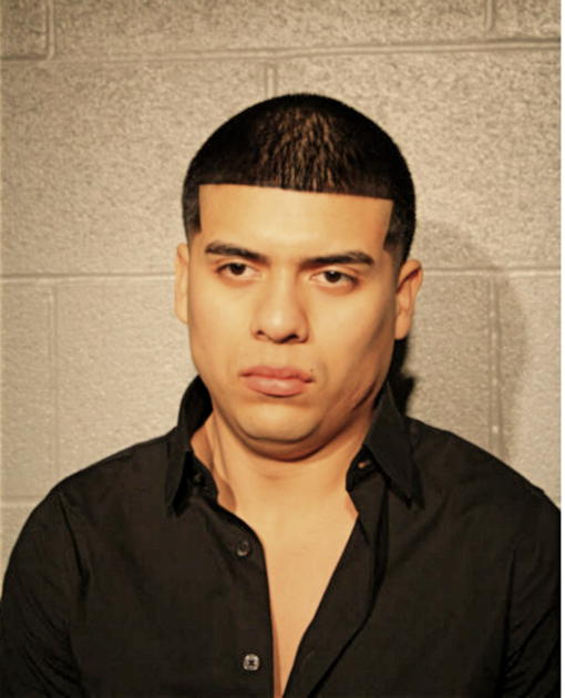 VILMER ALCARAZ, Cook County, Illinois