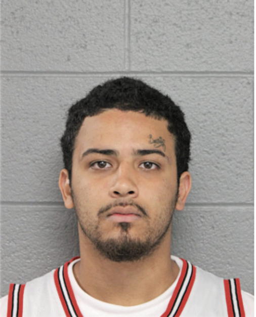 LOUIS O ANDRAS, Cook County, Illinois