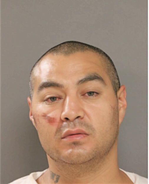 CESAR A BRAVO, Cook County, Illinois