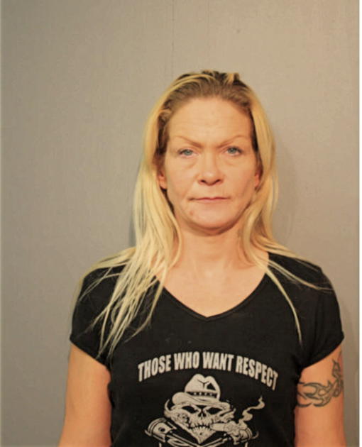 LEEANN FINI, Cook County, Illinois