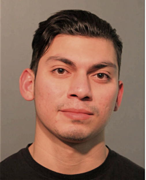 DAVID GONZALEZ, Cook County, Illinois