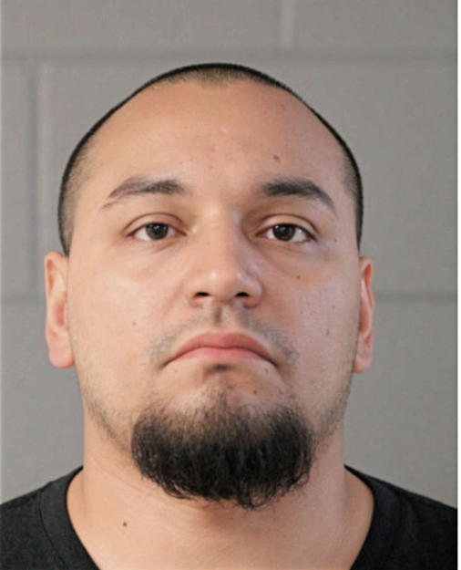 ADOLFO HERNANDEZ, Cook County, Illinois
