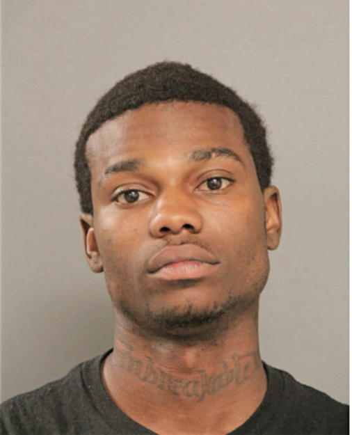 CHRISTOPHER L JACKSON, Cook County, Illinois