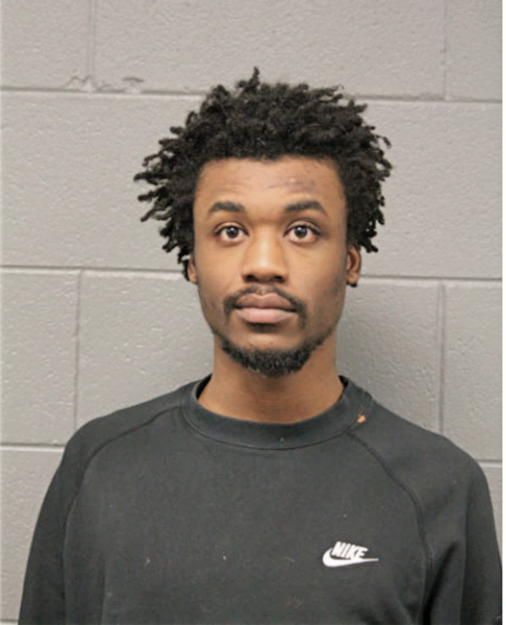 ELIJAH L JOHNSON, Cook County, Illinois