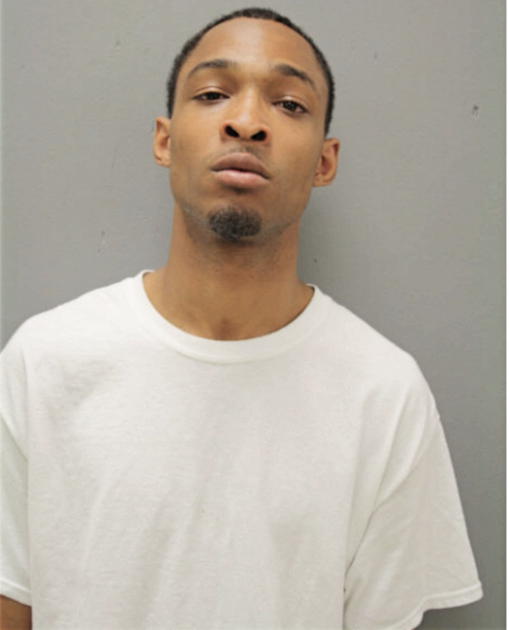 BRIAN L JONES, Cook County, Illinois
