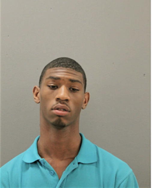 SOLOMON J KINERMON, Cook County, Illinois