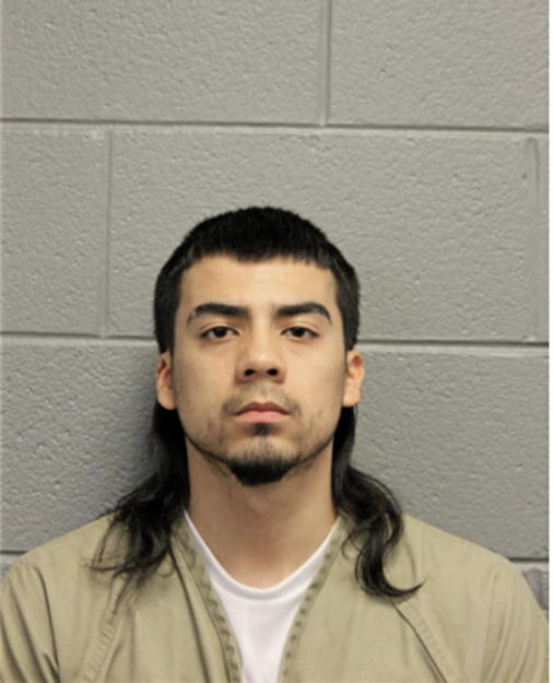 JULIUS LANDEROS, Cook County, Illinois