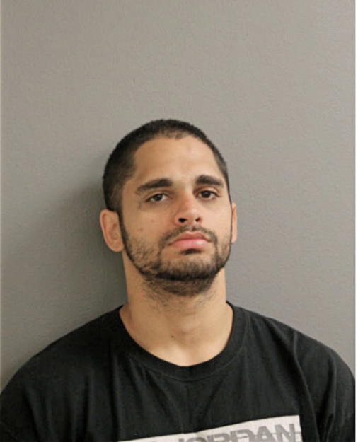 ADRIAN N LEMUS, Cook County, Illinois
