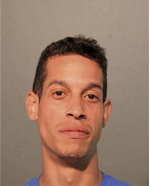 PATRICK L MCFARLAND, Cook County, Illinois