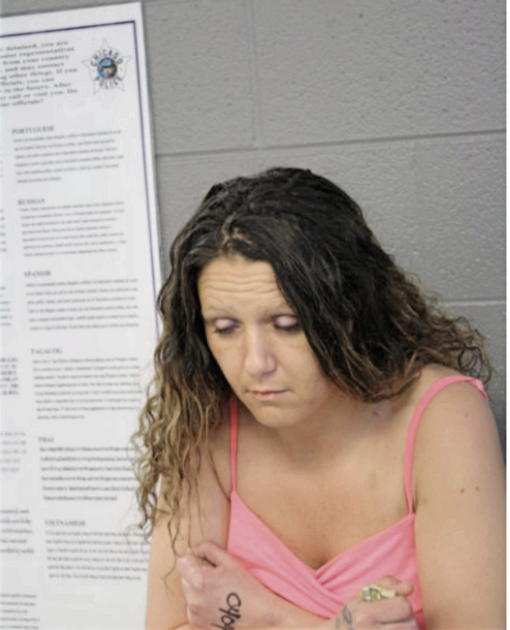 LISA J MCGUIRE, Cook County, Illinois