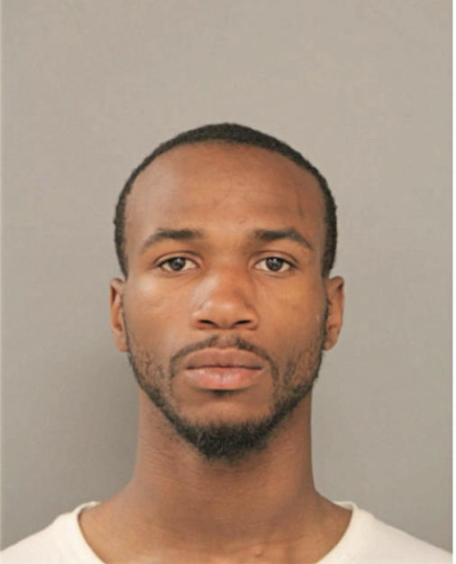SYDNEY MCNEIL, Cook County, Illinois