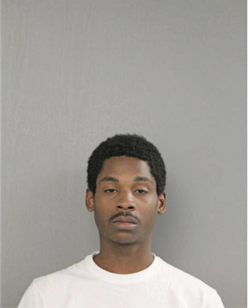 MICHAEL R NELSON, Cook County, Illinois