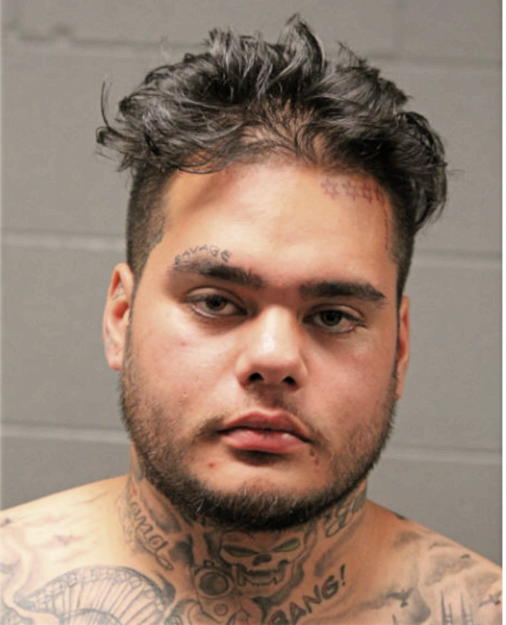 KEONI L ZUCCO, Cook County, Illinois