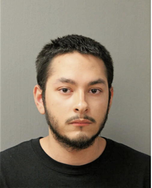 ERIK ALMARAZ, Cook County, Illinois