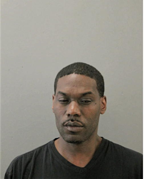 NATHANIEL S ANDERSON, Cook County, Illinois