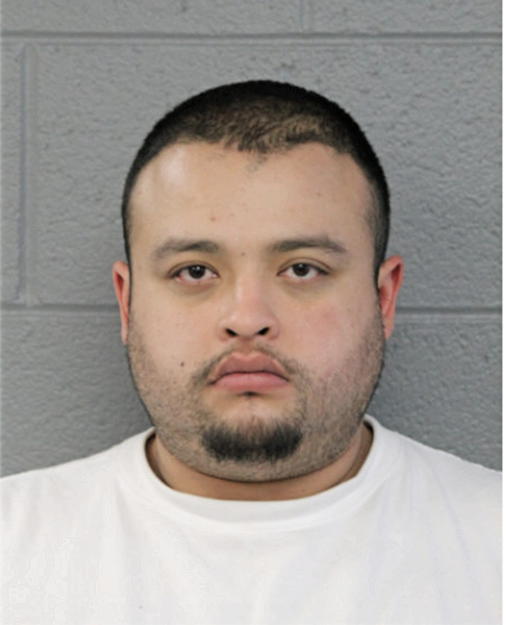 JOSE LUIS ANDRADE, Cook County, Illinois