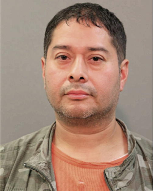 LAUREANO ARROYO, Cook County, Illinois