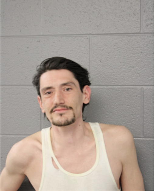 ROBERT S BERTUCCI, Cook County, Illinois