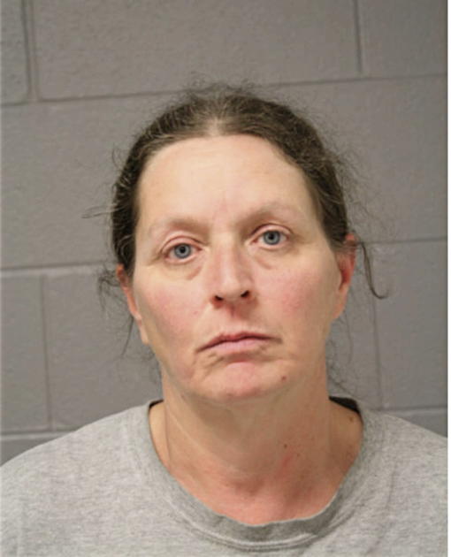 NANCY J BUNTING, Cook County, Illinois
