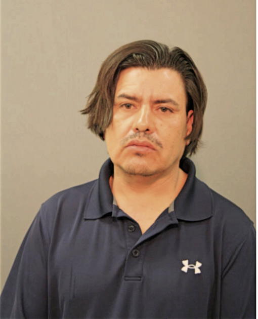 FERNANDO GOMEZ-RUIZ, Cook County, Illinois