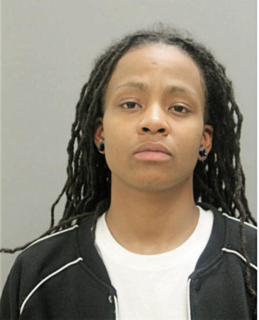 TAMAR V HAMILTON, Cook County, Illinois