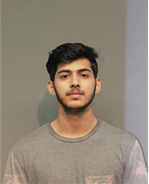 NAVAL PREET HANSA, Cook County, Illinois