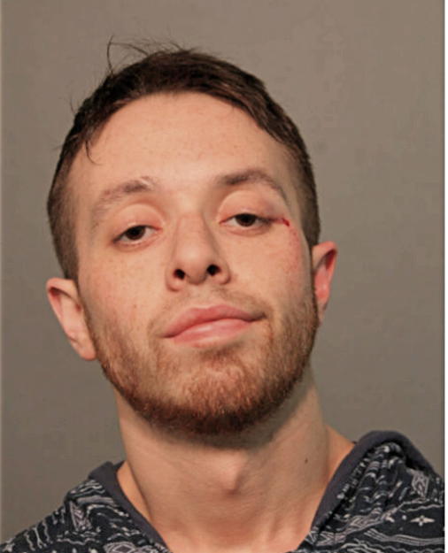 MICHAEL T JOHNSON, Cook County, Illinois