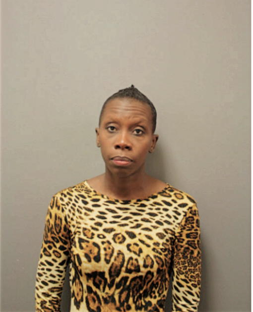 RHONDA P LEVY, Cook County, Illinois