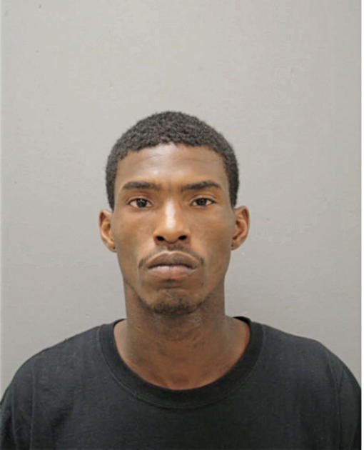 ROBERT T LEWIS, Cook County, Illinois