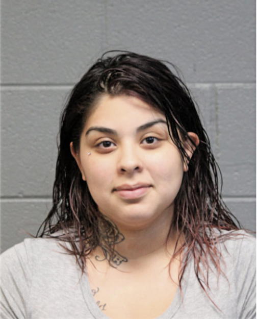 SELENA M GUERRERO, Cook County, Illinois