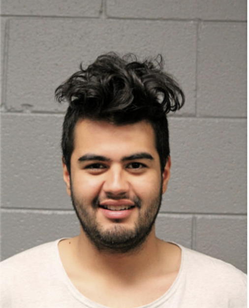 DARIO R RODRIGUEZ, Cook County, Illinois