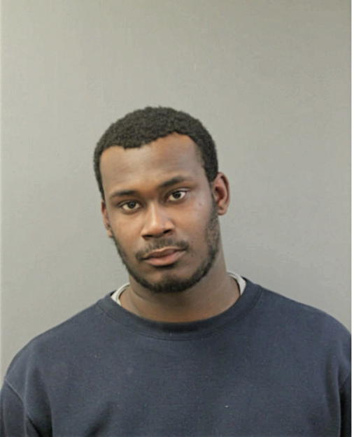 MICHAEL A ROLLINS, Cook County, Illinois