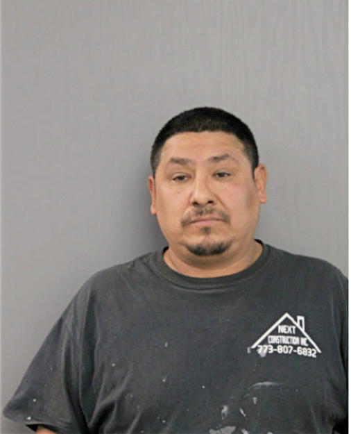 JOSE B ROMAN, Cook County, Illinois