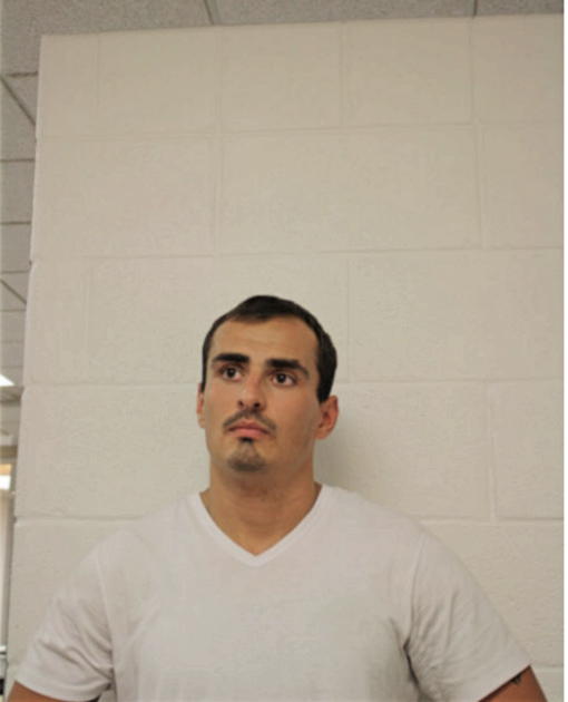 MARTIN A RUELAS, Cook County, Illinois