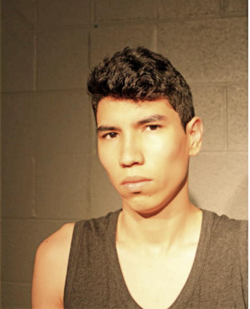 JAVIER A SALINAS, Cook County, Illinois