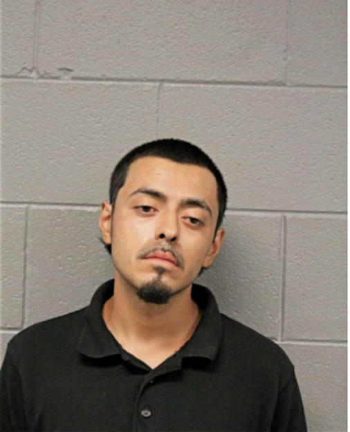 ALBERTO SANTOYO, Cook County, Illinois