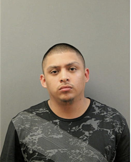 EFRAIN L TORRES, Cook County, Illinois