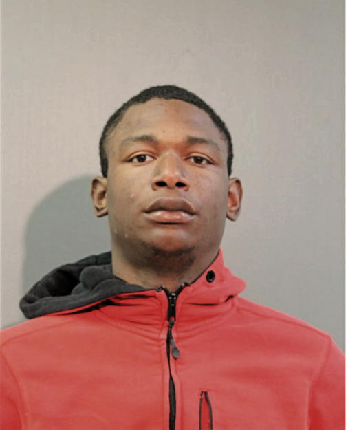 JONATHAN T WARNER, Cook County, Illinois