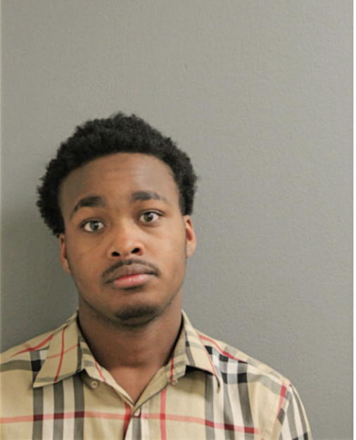 ANTHONY K WILLIAMS, Cook County, Illinois