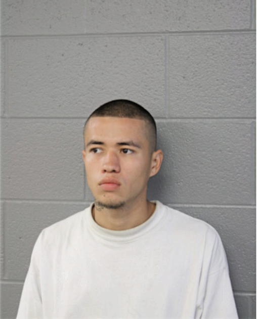 MICHAEL D ANUGIANO, Cook County, Illinois