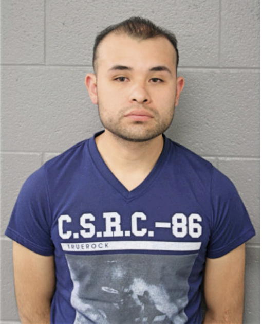 MARCOS AVALOS, Cook County, Illinois